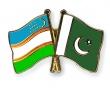 flag pins uzbekistan pakistan